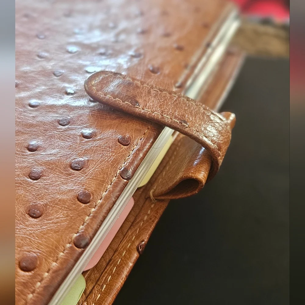 Filofax Buttercup Ostrich Planner *RARE*